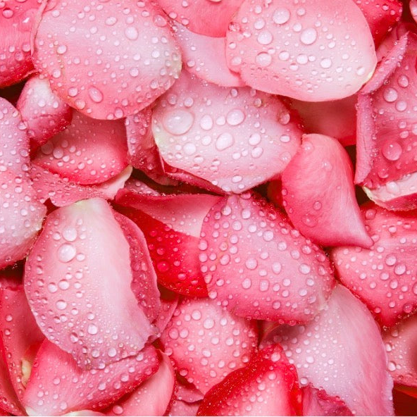 ROSE HYDROSOL